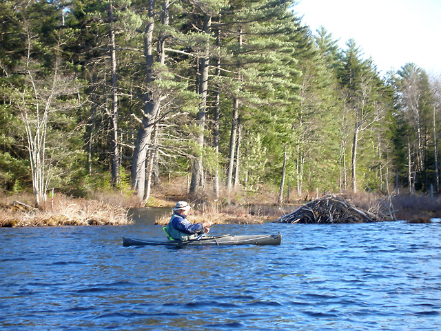 Kayaking Wiley